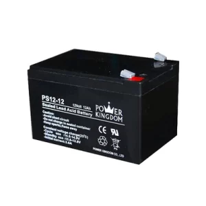 12V 12AH Lead-Acid Battery